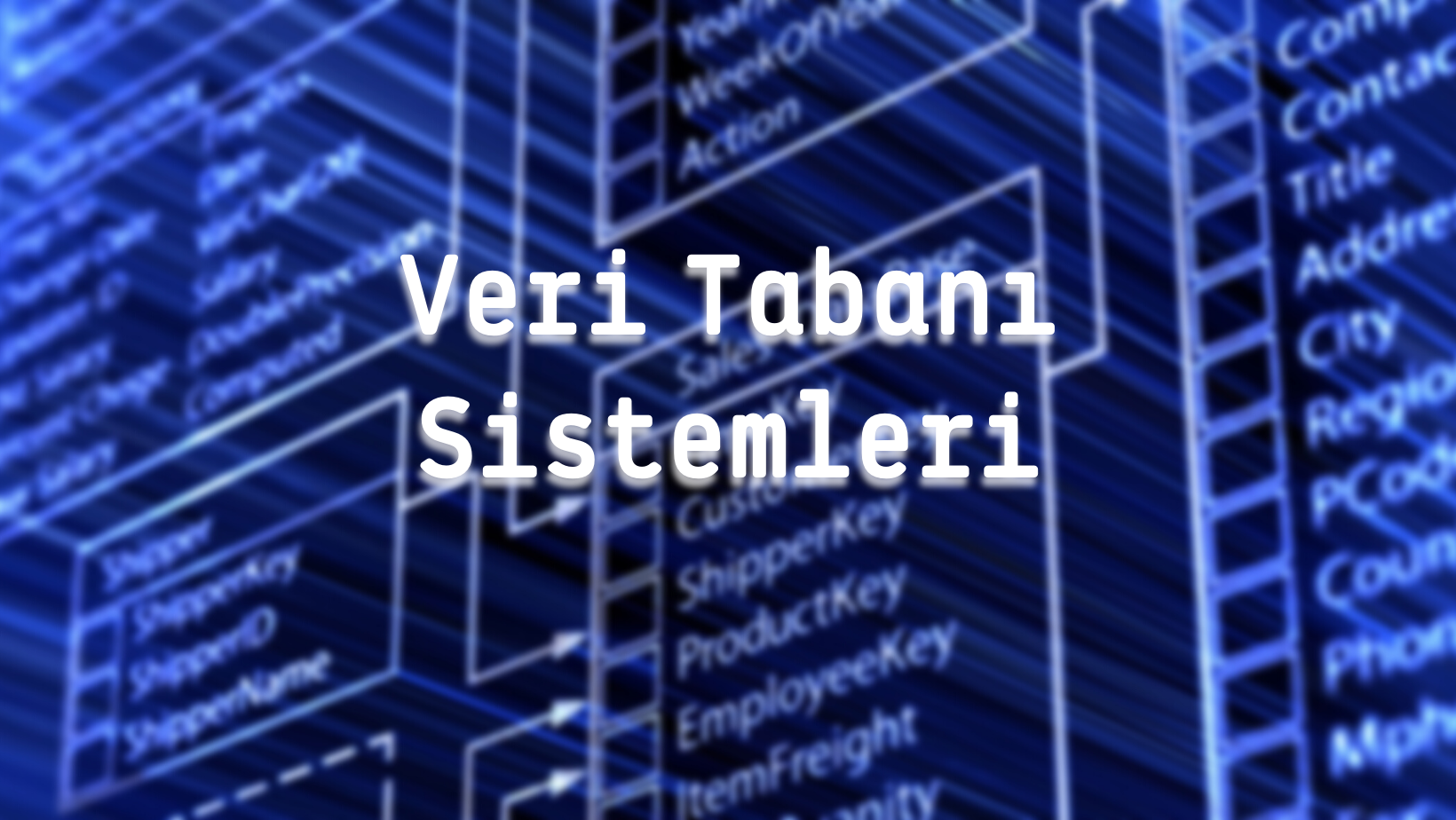 Veri Tabanı Sistemleri